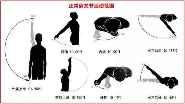 正常肩關節活動范圍